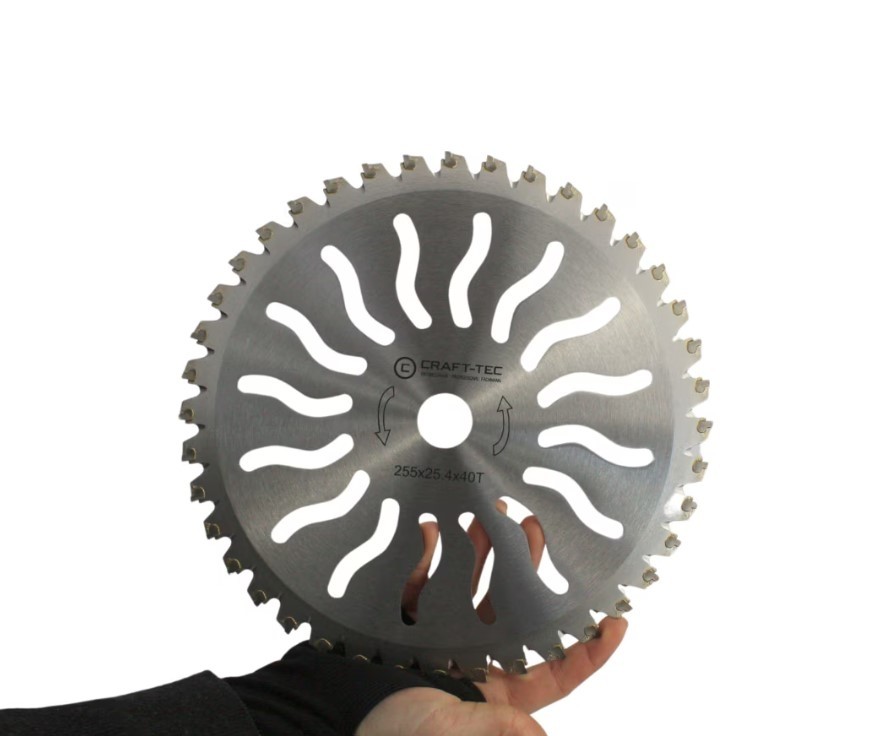 Disc motocoasa NR 10 Bricomall, 255x25.4x40T arbusti, dinti videa, model SOARE, MX1017