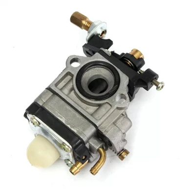 Carburator MOTOCOASA cu gaura MICA, Bricomall, MX191