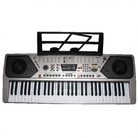 Orga profesionala 61 clape